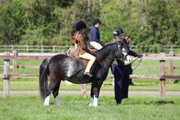 C19_1003 2026