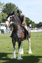 E33_0480 2026