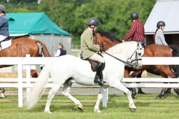 Z41_0025 2026
