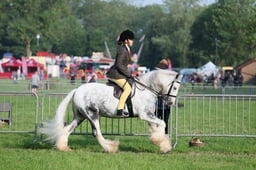 C34_0252 2026