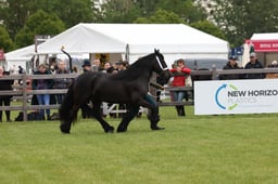W29_0845 2026