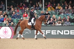 10 Freestyle Dressage