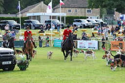 Parade of Hounds