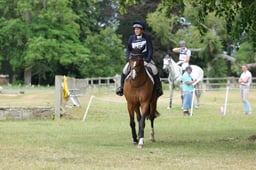 252 BISCUIT WEXFORD GIRL