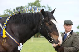 E36_1201 2026