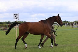 J36_7588 2026