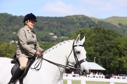 H105 Amateur Ridden Hunter