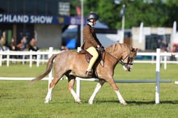 H46_0216 2026
