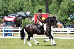 Z42_3866 2026