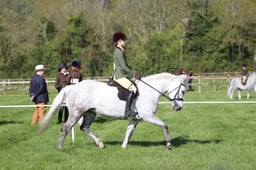 C19_0447 2026