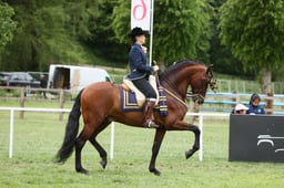E30_5022 2026