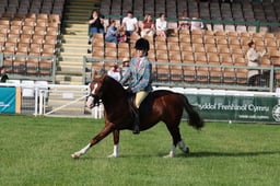 C68_0470 2026