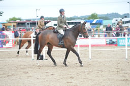 N44_0220 2026