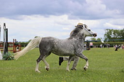 J36_7129 2026