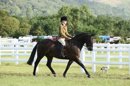E42_0048 2026