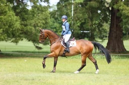 656 FOURFIELDS TRIUMPH