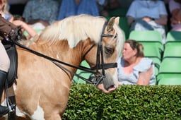 S61_0654 2026