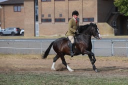 E66_3741 2026