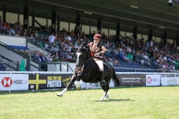 Ridden Welsh Championship