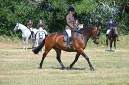 S60_0643 2026