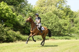 35 DASSETT ALL IN