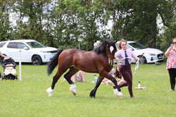 J36_7021 2026