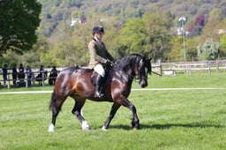 C19_0940 2026