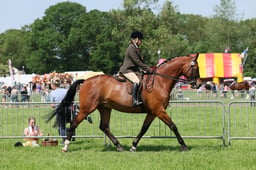 C33_1257 2026