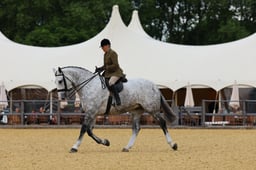 H29_0502 2026