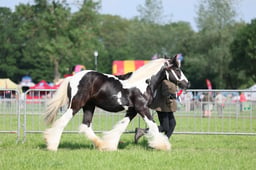 C34_0583 2026