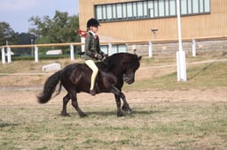 M65_5952 2026