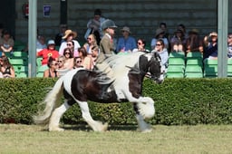 S61_0749 2026