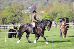 C19_0415 2026