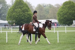 36-34 Senior Ridden Pony Championship