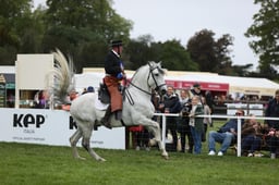 E30_5206 2026