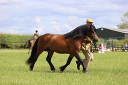 J36_7359 2026