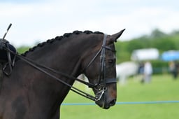 H36_7701 2026