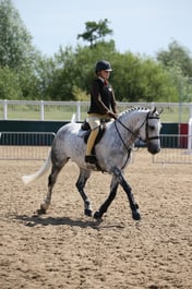 CL5 HOYS 143CMS WHP