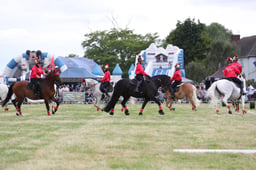 Quadrille