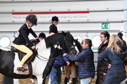 Colour Junior Ridden Pony of the Year