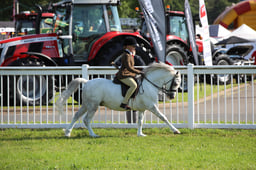W33_0748 2026