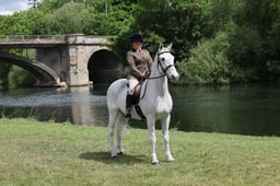 L31_1129 2026