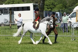E33_4920 2026