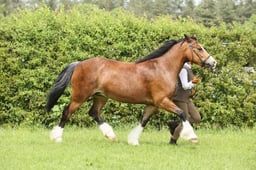 E34_2614 2026
