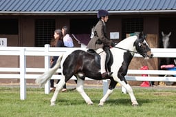 Z43_5330 2026