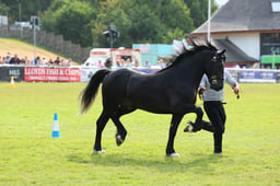 E69_1070 2026