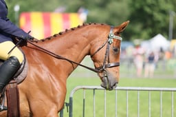 C34_0596 2026