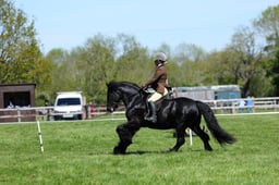 M19_0446 2026