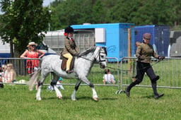 C33_1823 2026