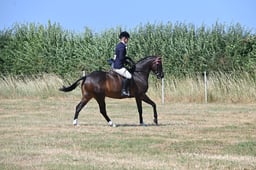 S60_0602 2026